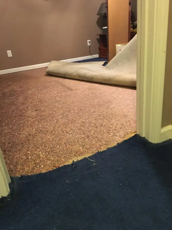 Carpet pad removal revealing water damage during Drying & Dehumidification in Winter Springs
