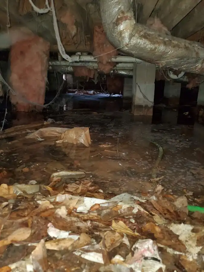 Crawl space flood assessment for Commercial Water Damage Restoration in Winter Springs